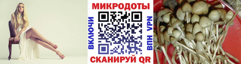 Купить  Новосокольники  Псилоцибиновые грибы Psilocybine cubensis 